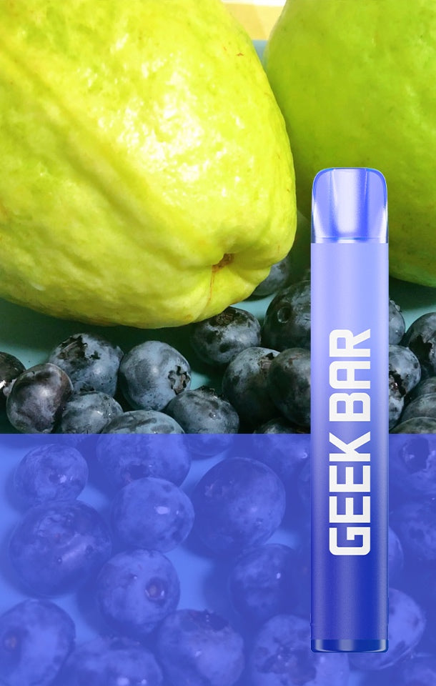 Geek Bar 600 Puffs Disposable Vape