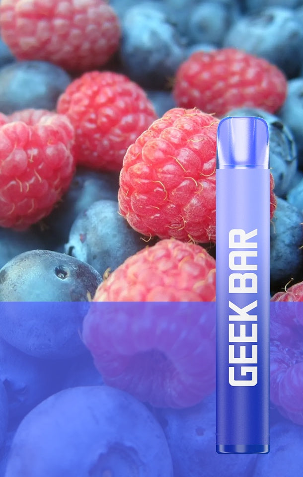 Geek Bar 600 Puffs Disposable Vape (Pack of 10)