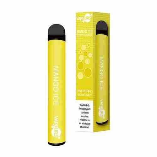 Vapeurs 600 Puffs Disposable Vape Pod - #Simbavapes#